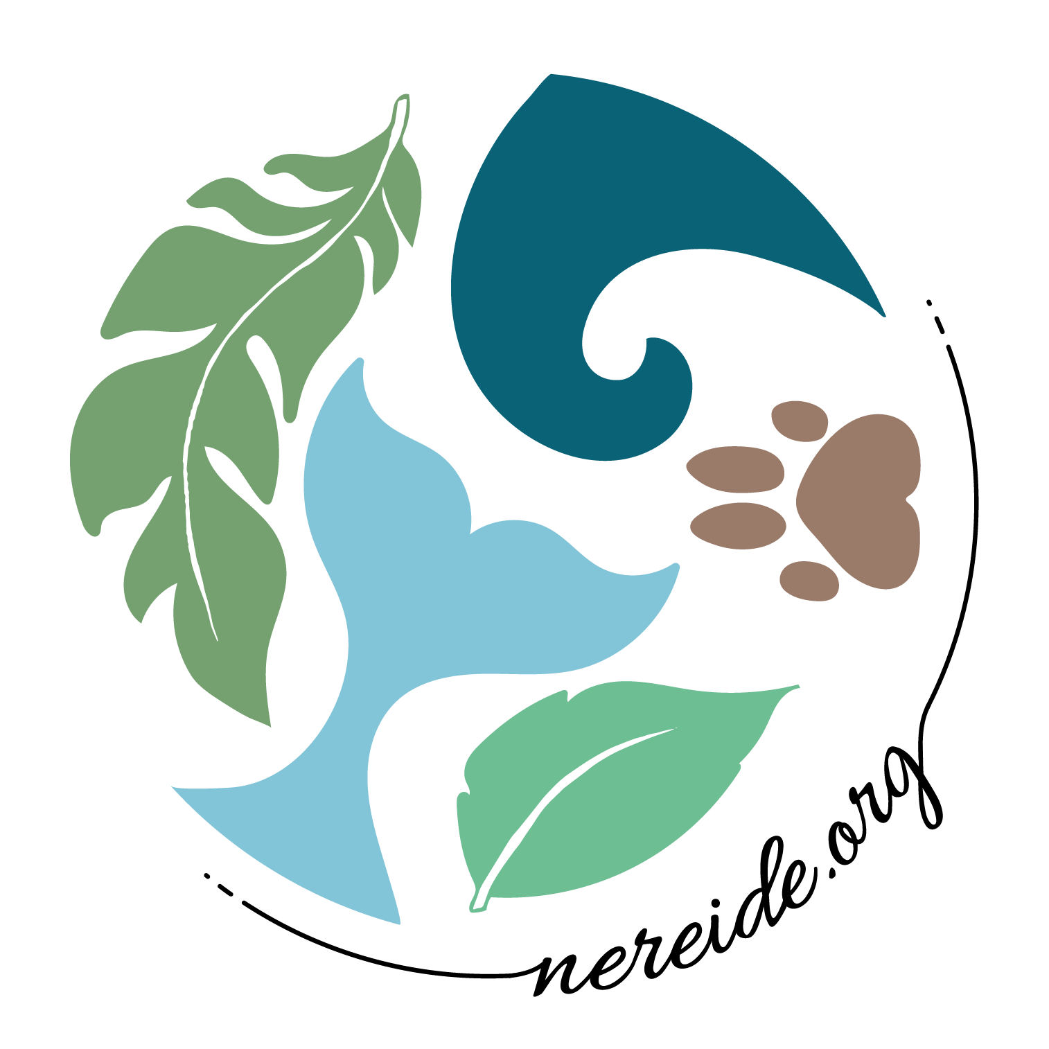 Asociacion Nereide Tarifa