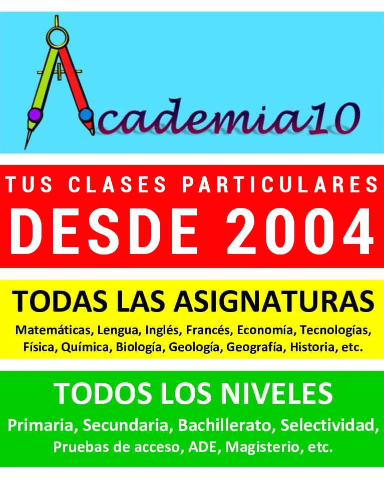 academia 10  tus clases particulares