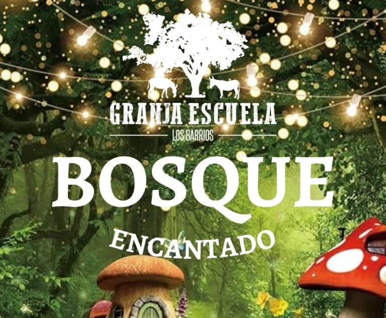 cartel bosque encantado nocturno