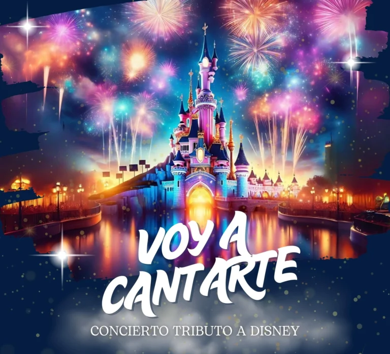 castillo disney noche