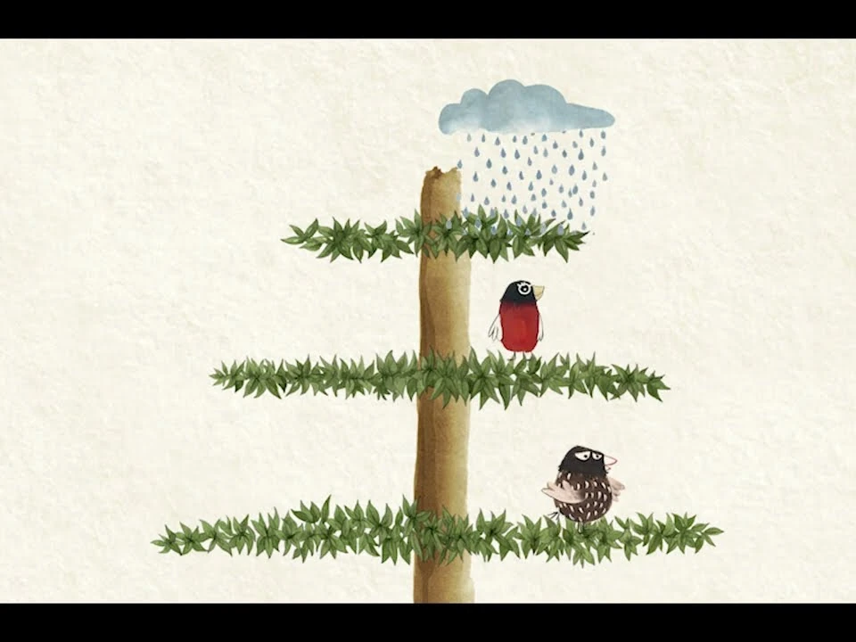 chirimir cuento pajaros arbol lluvia
