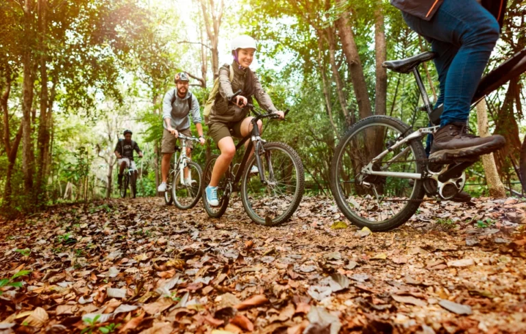 ciclismo bosque grupo