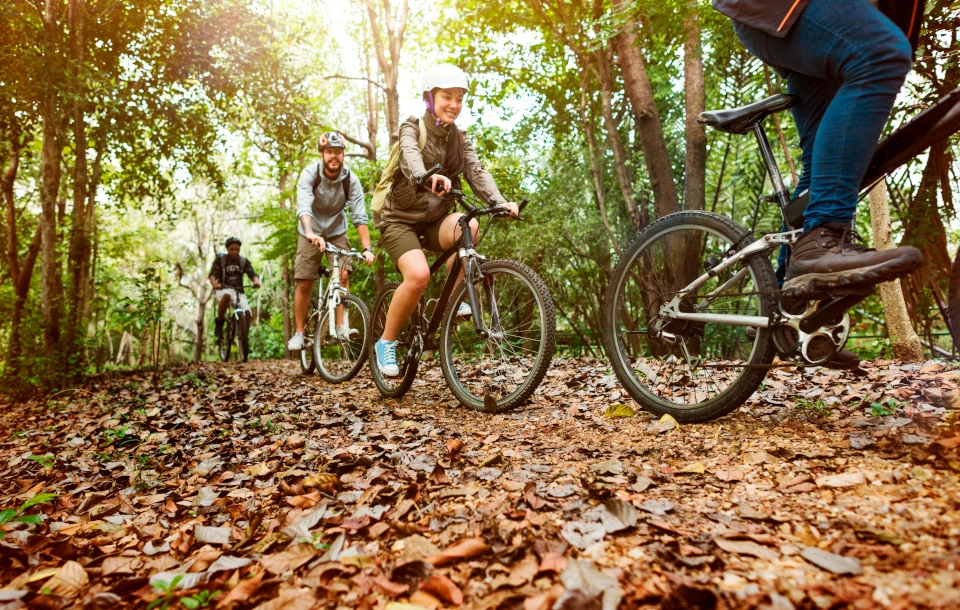 ciclismo bosque grupo