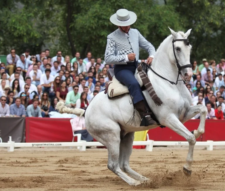 doma vaquera exhibicion
