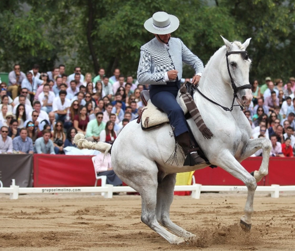 doma vaquera exhibicion