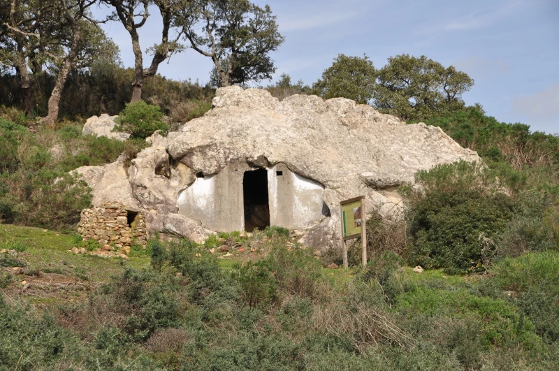 el palancar los barrios