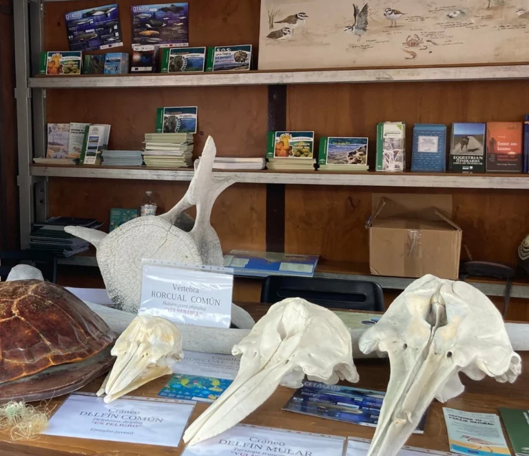 feria parques naturales algeciras stand