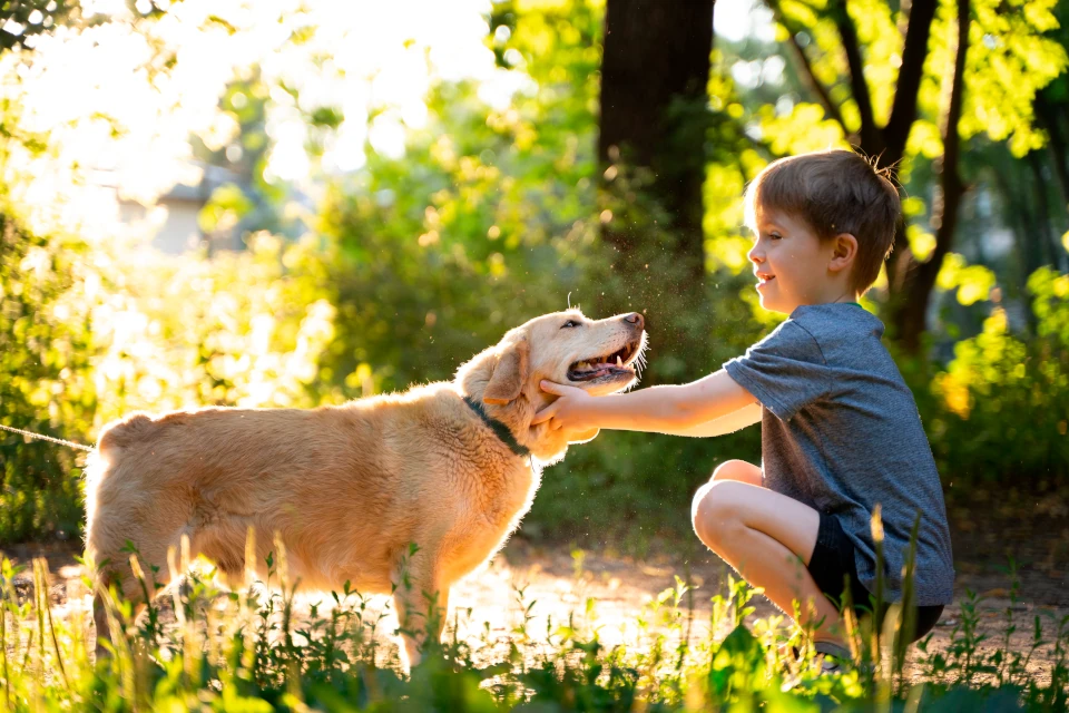 full shot kid petting dog