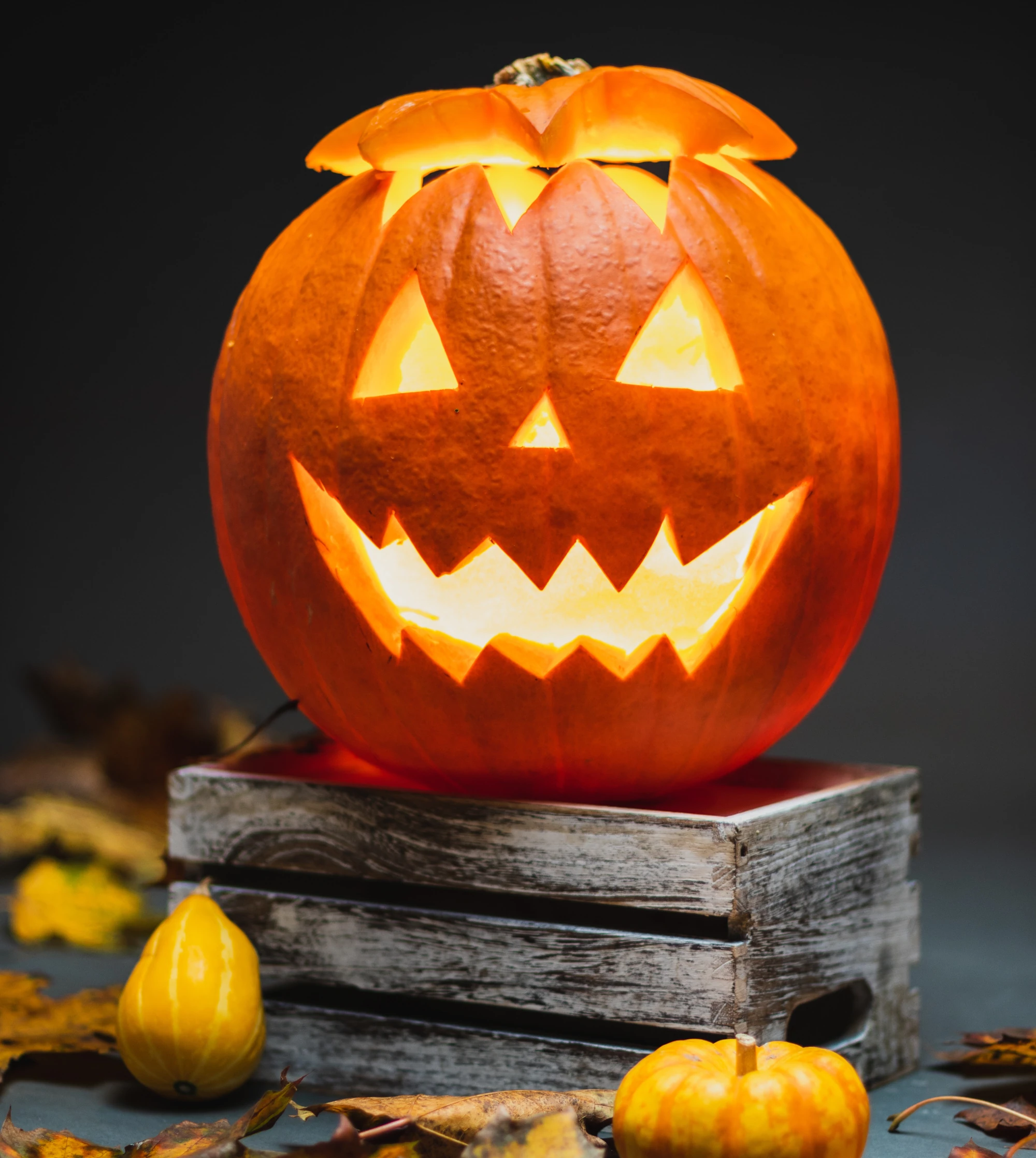 halloween calabaza