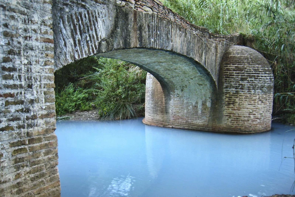 hedionda casares