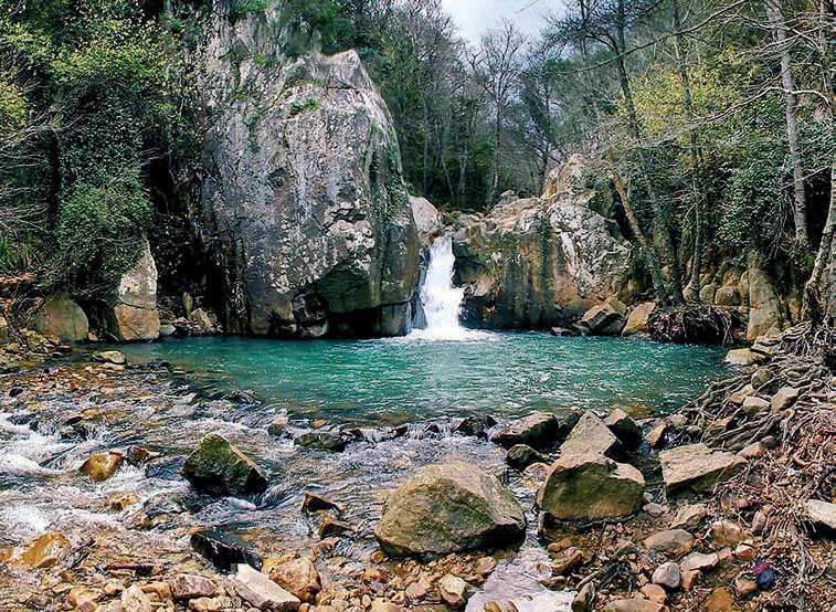 sendero de la miel molino 1