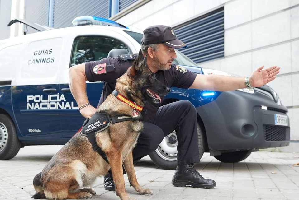 k9 perro policia nacional