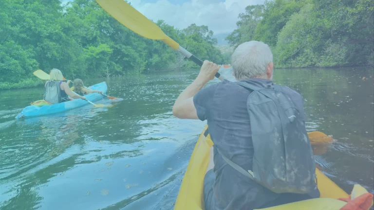 kayak palmones activities