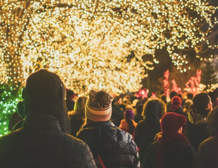 luces arbol navidad calle