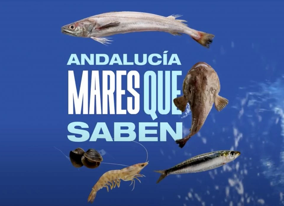 mares que saben 2024 cartel