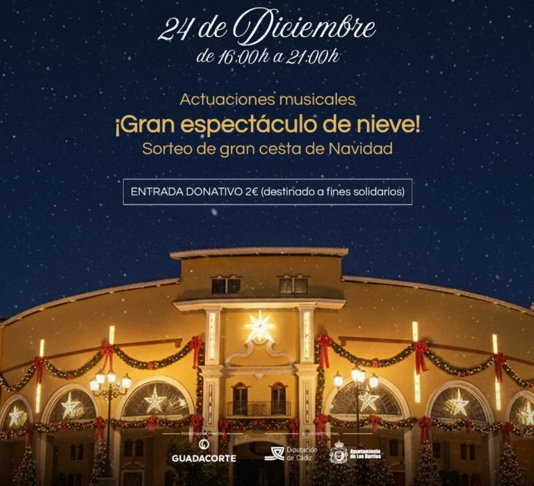 montera forum decora navidad cartel