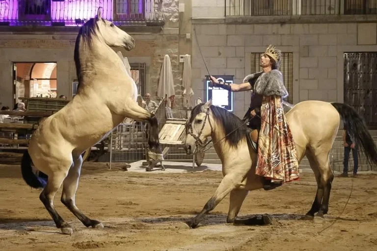 paco martos espectaculo caballos
