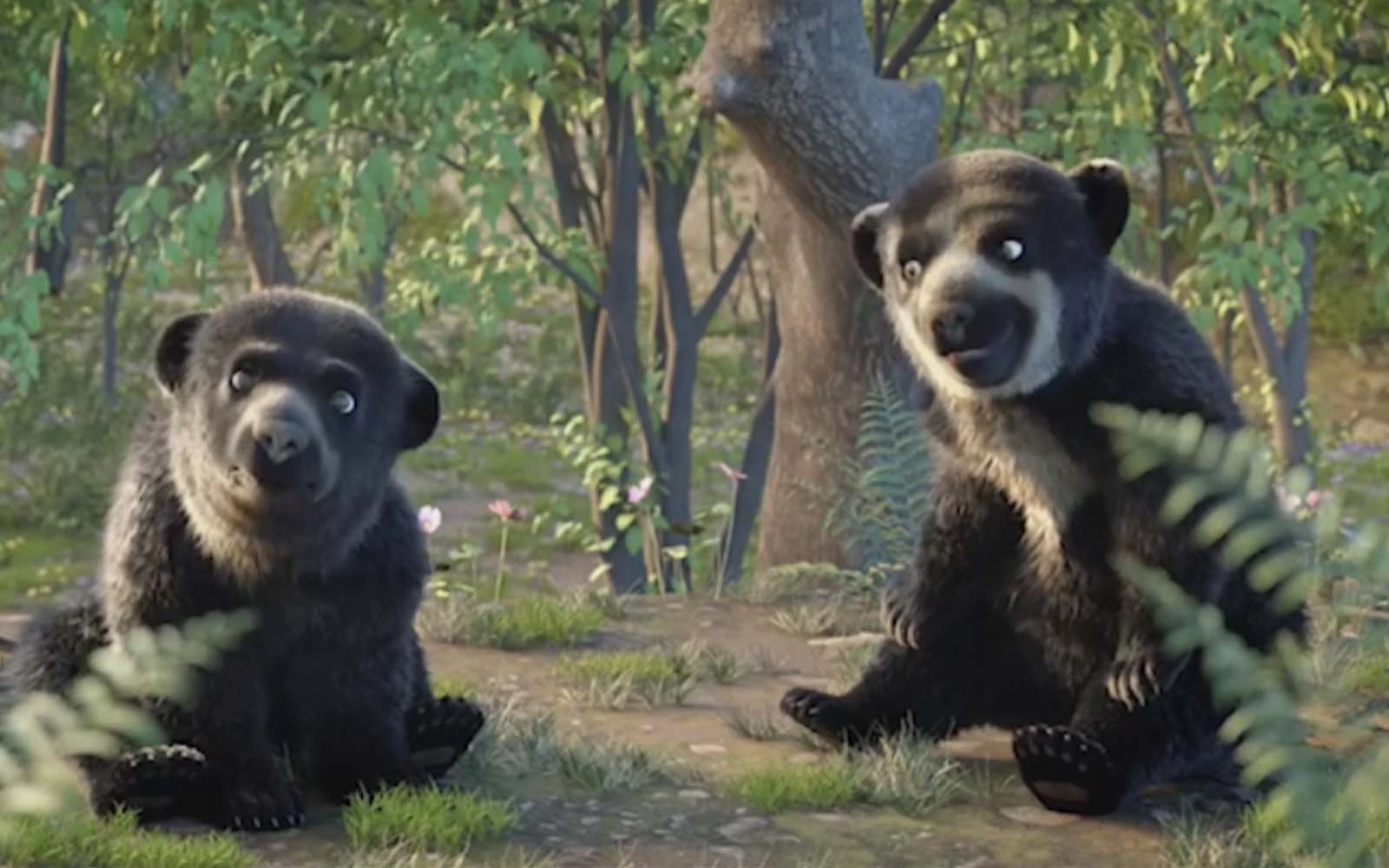pequena osa cine