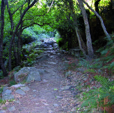 sendero de la miel comienzo