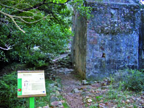 sendero de la miel comienzo
