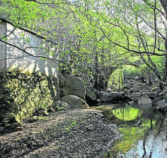 sendero de la miel molino 1