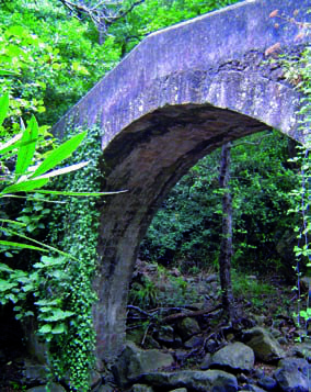 sendero de la miel molino 1