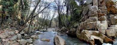 sendero de la miel molino 1