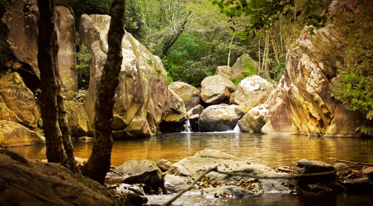 sendero rio de la miel head2