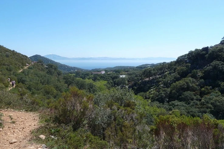 sendero de la miel comienzo