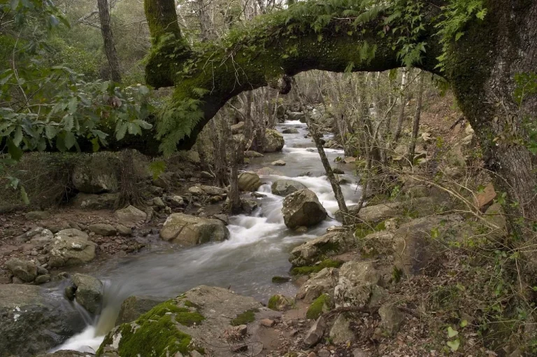 sendero rio guadalmesi 4