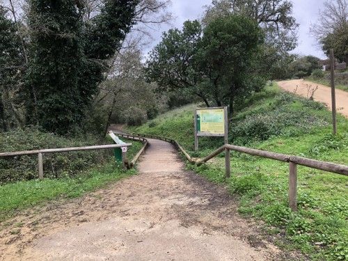 sendero de la miel molino 1
