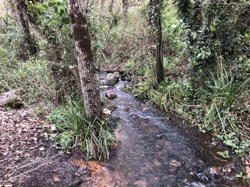 sendero de la miel comienzo