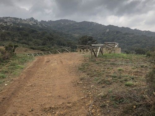 sendero de la miel comienzo