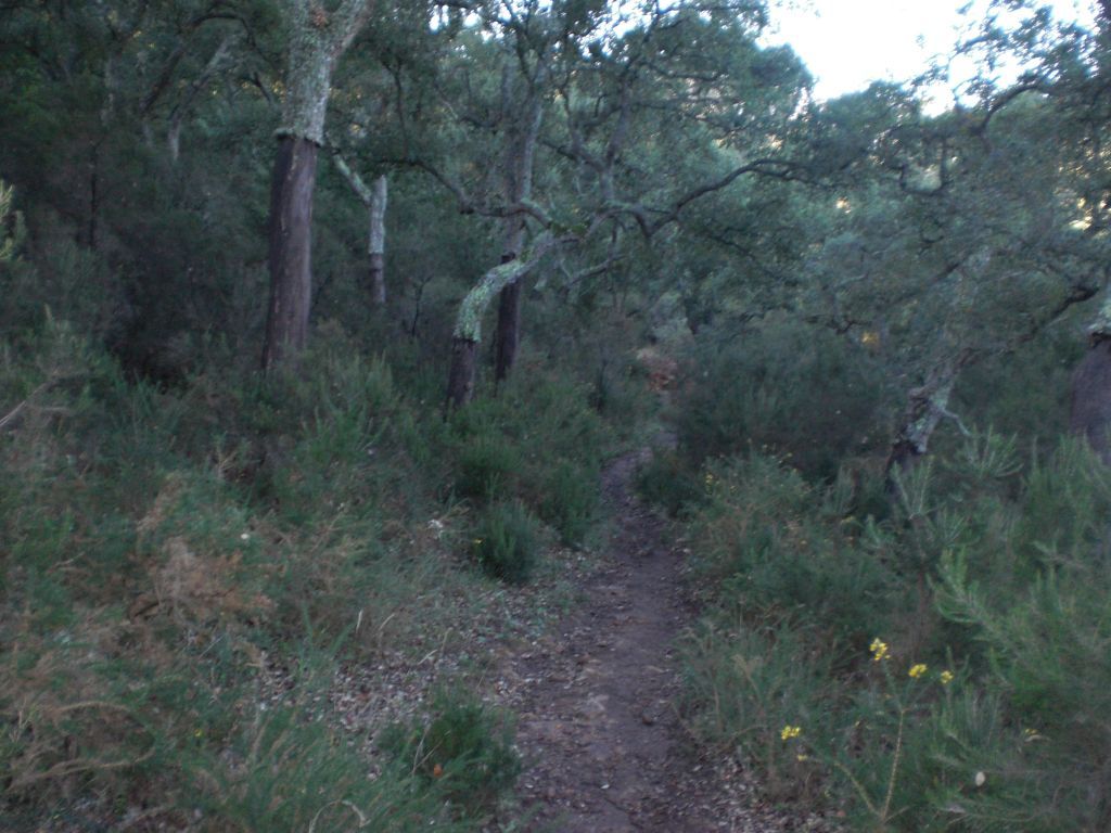 sendero de la miel molino 1