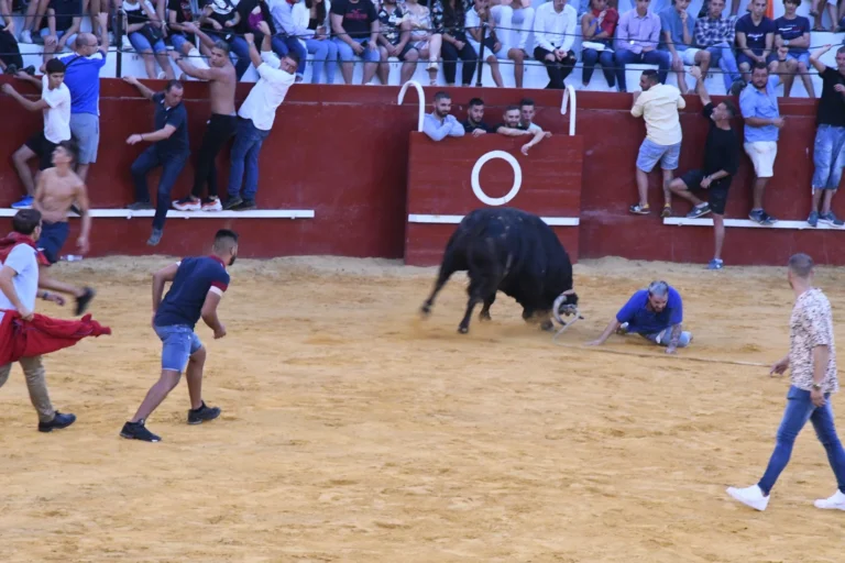 Toro del Aguardiente San Roque